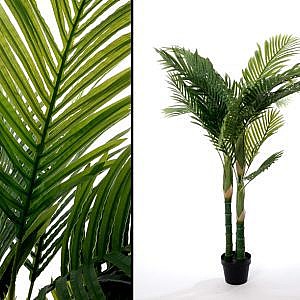 �� ��� ������� ���� ���� ������ 150CM