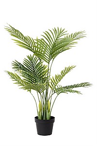 �� ��� ����� 100CM ����
