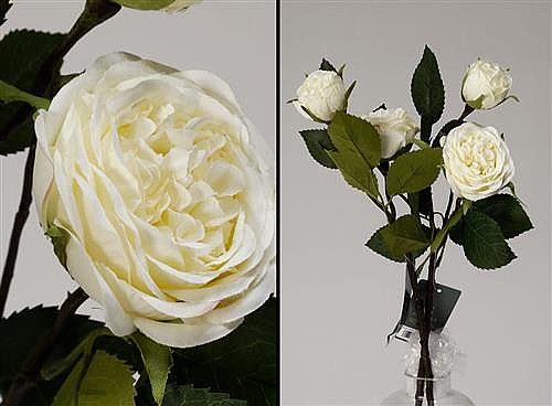  ����� ��� ��� ����� 12P 54cm
