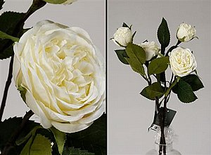  ����� ��� ��� ����� 12P 54cm