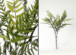 ��� ��� 67cm ����-���� �� 12P