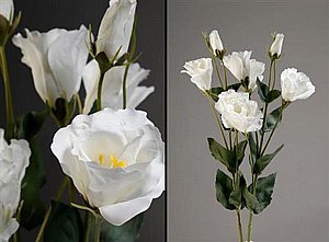 210900 ���  69cm