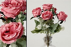 ���� ����� ������ ���� ���� 48P 30cm