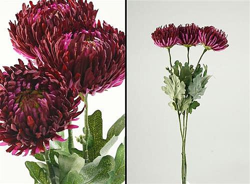  ��� 12P 85cm