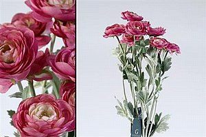 ��� ����� 51cm ������ 24P