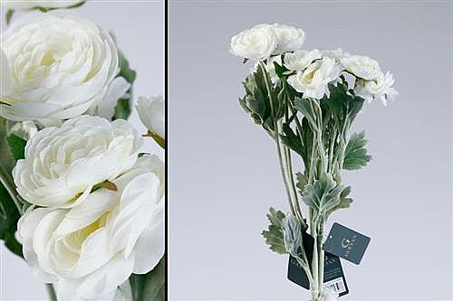 ��� ����� 51cm ��� 24P