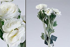 ��� ����� 51cm ��� 24P