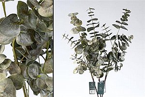  215400 ��� ��������� 88cm ���� 12P