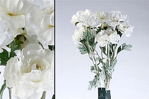 215404 ��� ����� 73cm ��� 12P