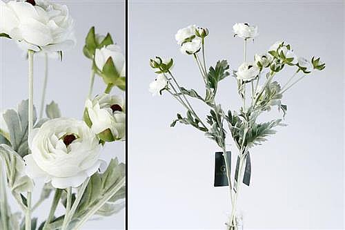 ��� ����� 67cm ��� 24P