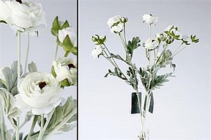 ��� ����� 67cm ��� 24P