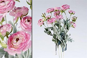 ��� ����� 67cm ���� 24P