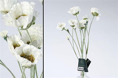 ��� ��� 67cm ��� ���� 12P
