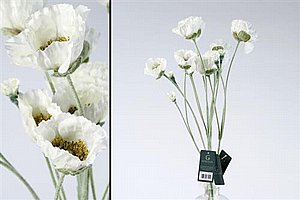 ��� ��� 67cm ��� ���� 12P