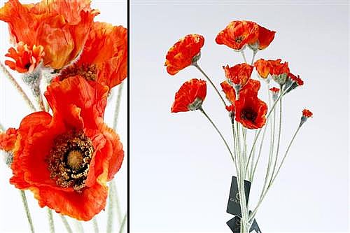 ��� ��� 67cm ����-���� �� 12P