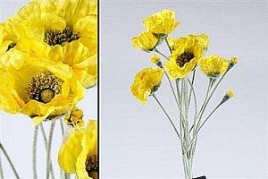 ��� ��� 67cm ���� �� 12P