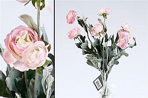��� ����� 42cm ���� ���� 24P