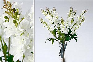 ��� �� ������� 78cm ��� 24P