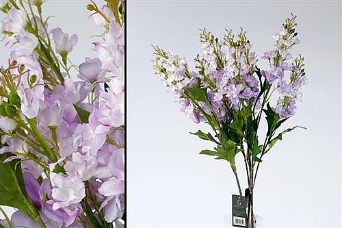 ��� �� ������� 78cm ���� ���� 24P
