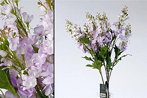 ��� �� ������� 78cm ���� ���� 24P