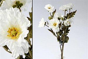 ��� ��� 81cm ��� ���� 12P