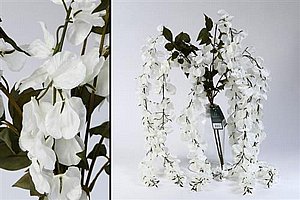 ��� �� �������� 76cm ��� ���� 12P
